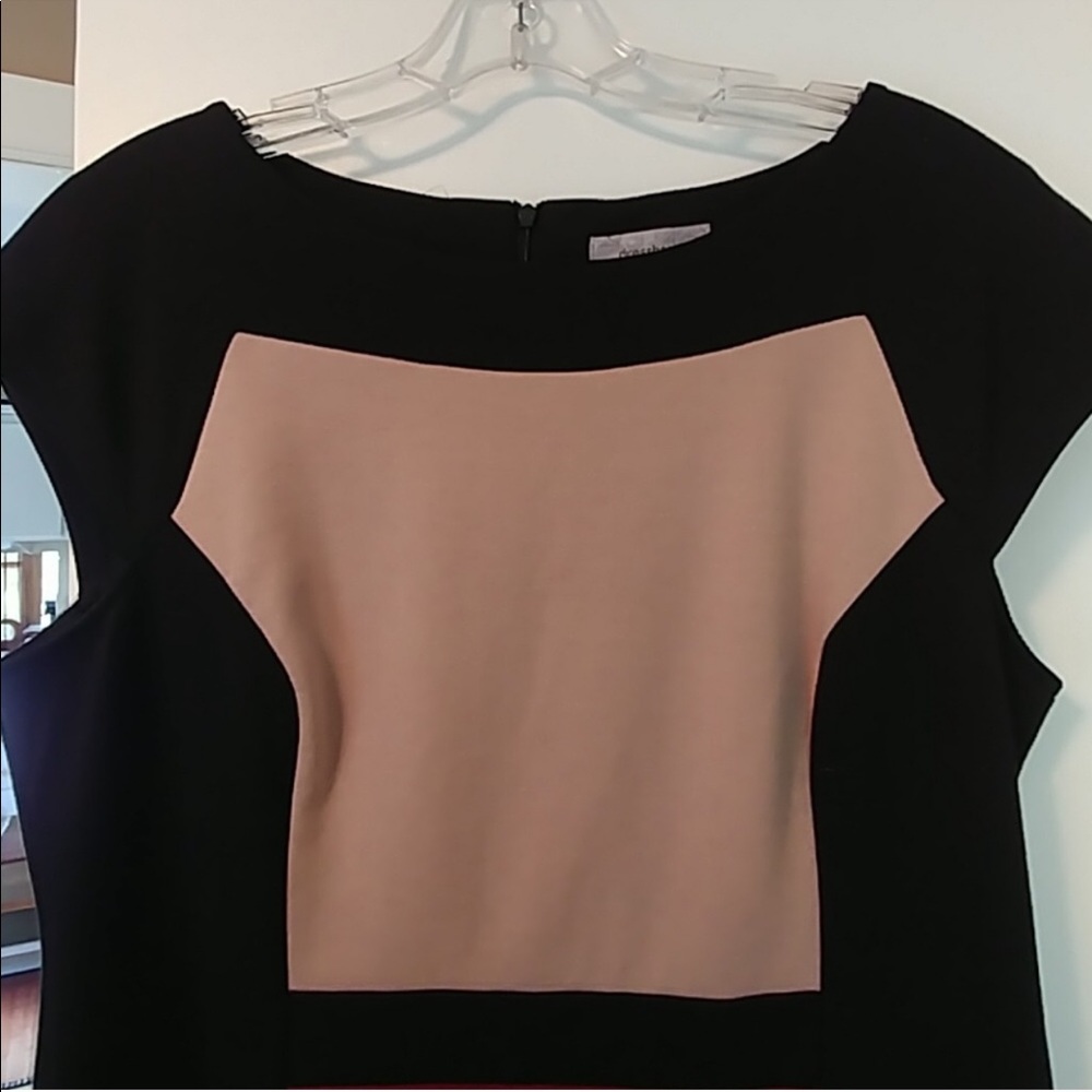 💃 Chic Colorblock Sheath Dress - Picture 3 of 8
